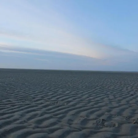 In Texel Near National Park Dunes Prázdninový dům