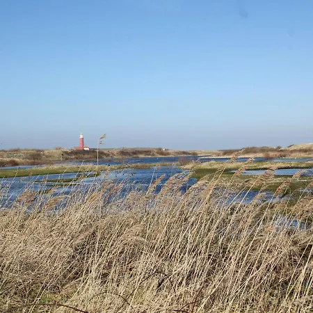 In Texel Near National Park Dunes