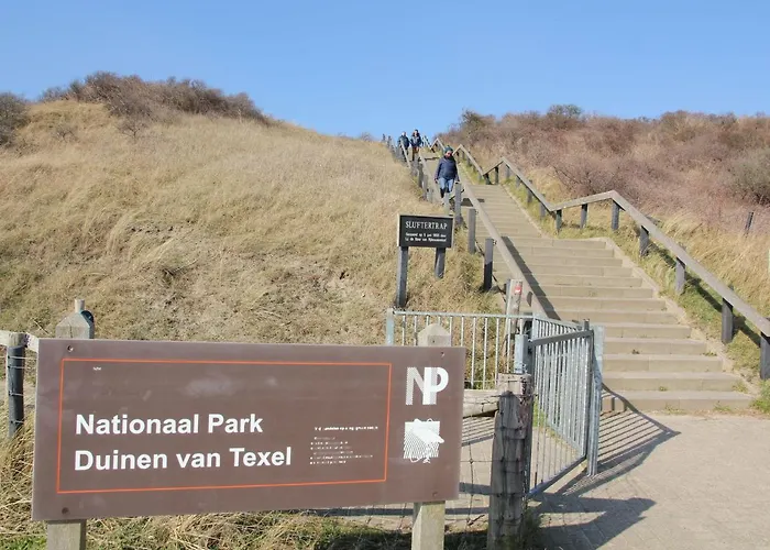 In Texel Near National Park Dunes * Westermient