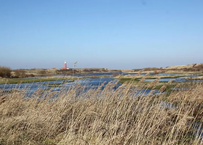 In Texel Near National Park Dunes