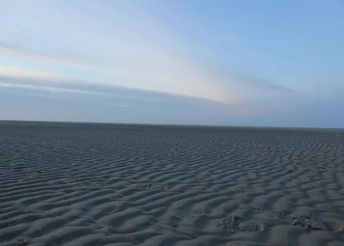 In Texel Near National Park Dunes Tatil Evi
