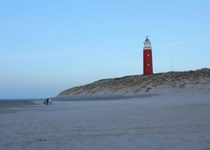 In Texel Near National Park Dunes Westermient